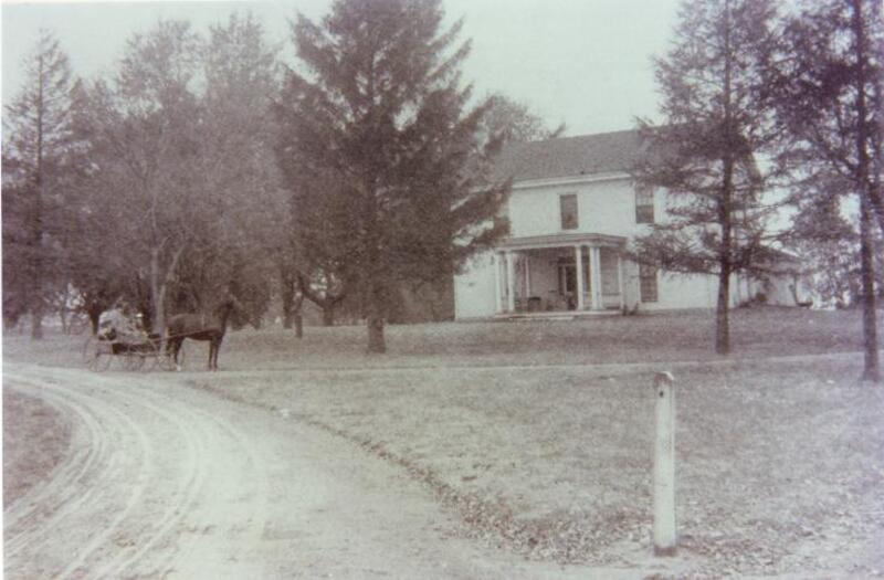 Horse carriage on the road leading up to the Farm House 