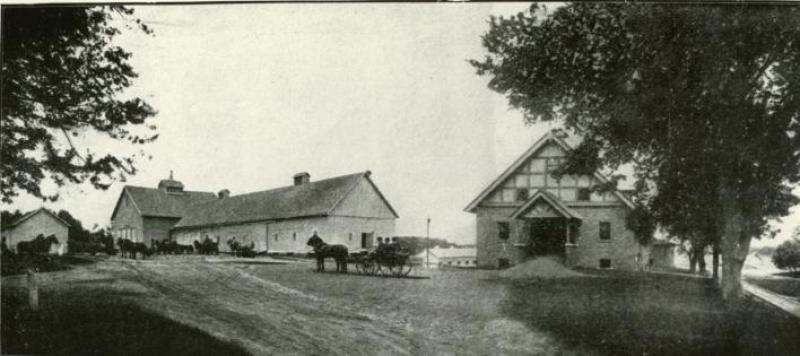 Horse and Cattle Barns with hourse carriage, other horses and livestock