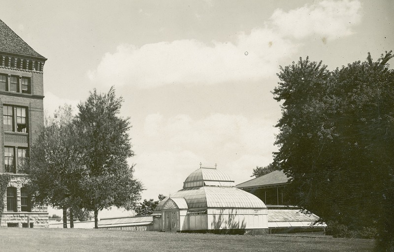 Located east of Botany Hall, the greenhouse proper was L-shaped, with the north-south leg 60'long by 34' wide and the east-west leg 42' long and 20' wide. At the east end of that leg was a frame potting house. The greenhouse structure was built on a brick base.
