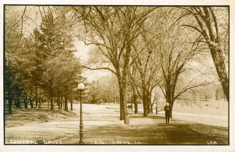 Central Drive looking Southeast towards the Sanitary Building