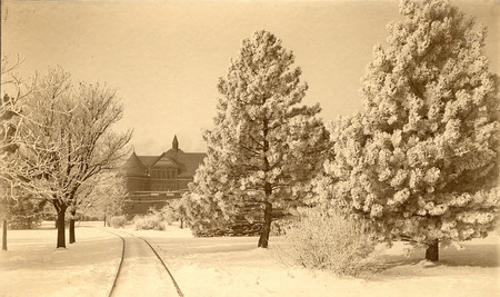 View of the front (east) side of Morrill Hall in winter, partially obscured by trees covered in snow. The tracks of the Ames and College Railway (the Dinkey) are seen leading towards the building.