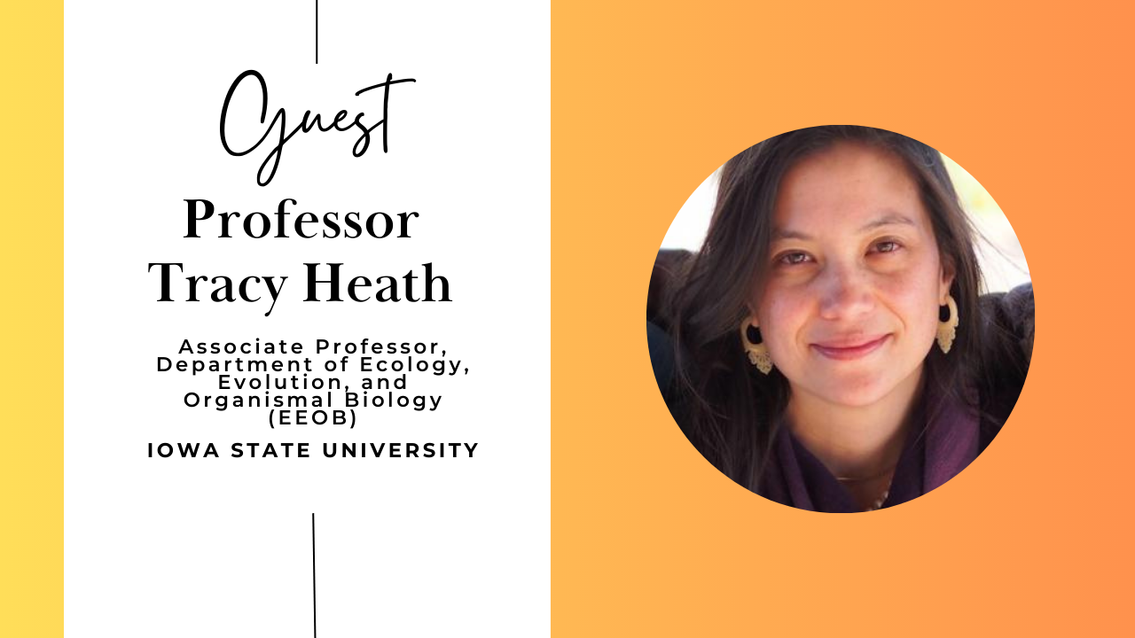 Interview with Professor Tracy Heath